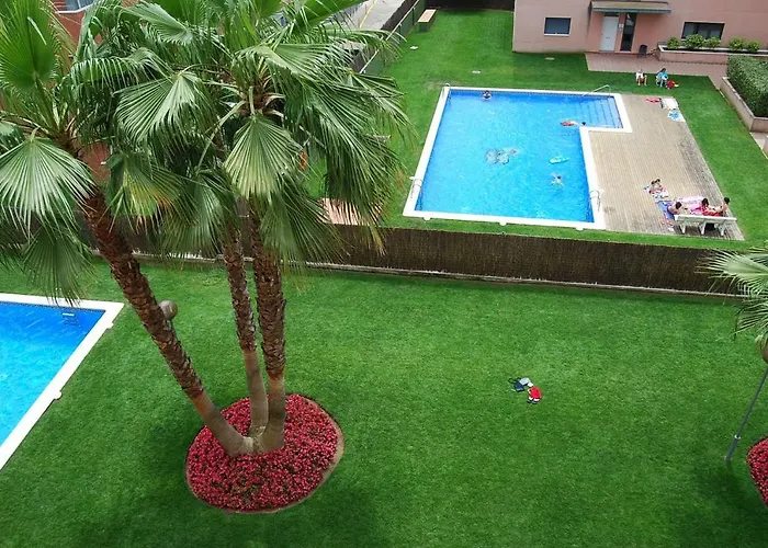 Camelia Apartment